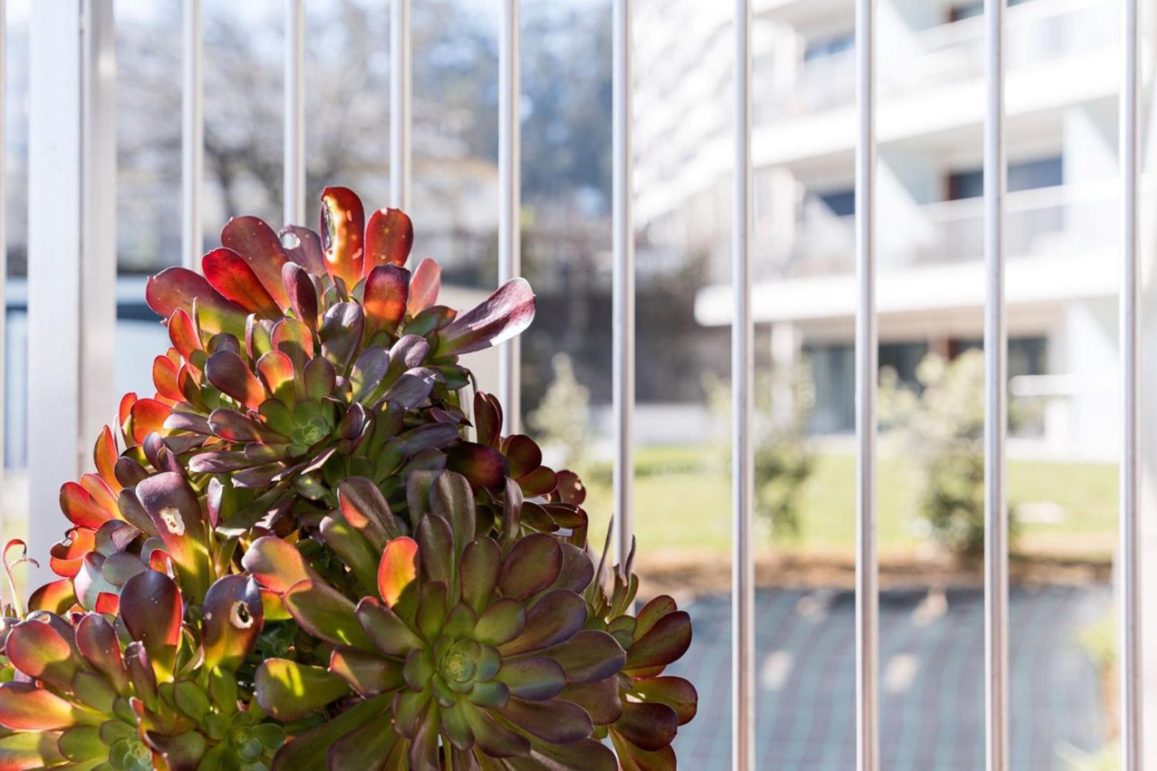 Guestready - Ideal Stay Near Estadio Do Dragao Porto Exterior photo